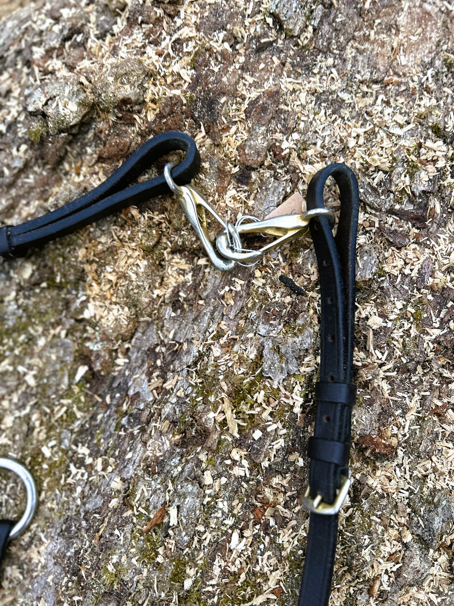 Collier de chasse HFI "Elastic" (099MA)